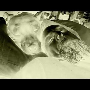 Meet your Posher, Sam